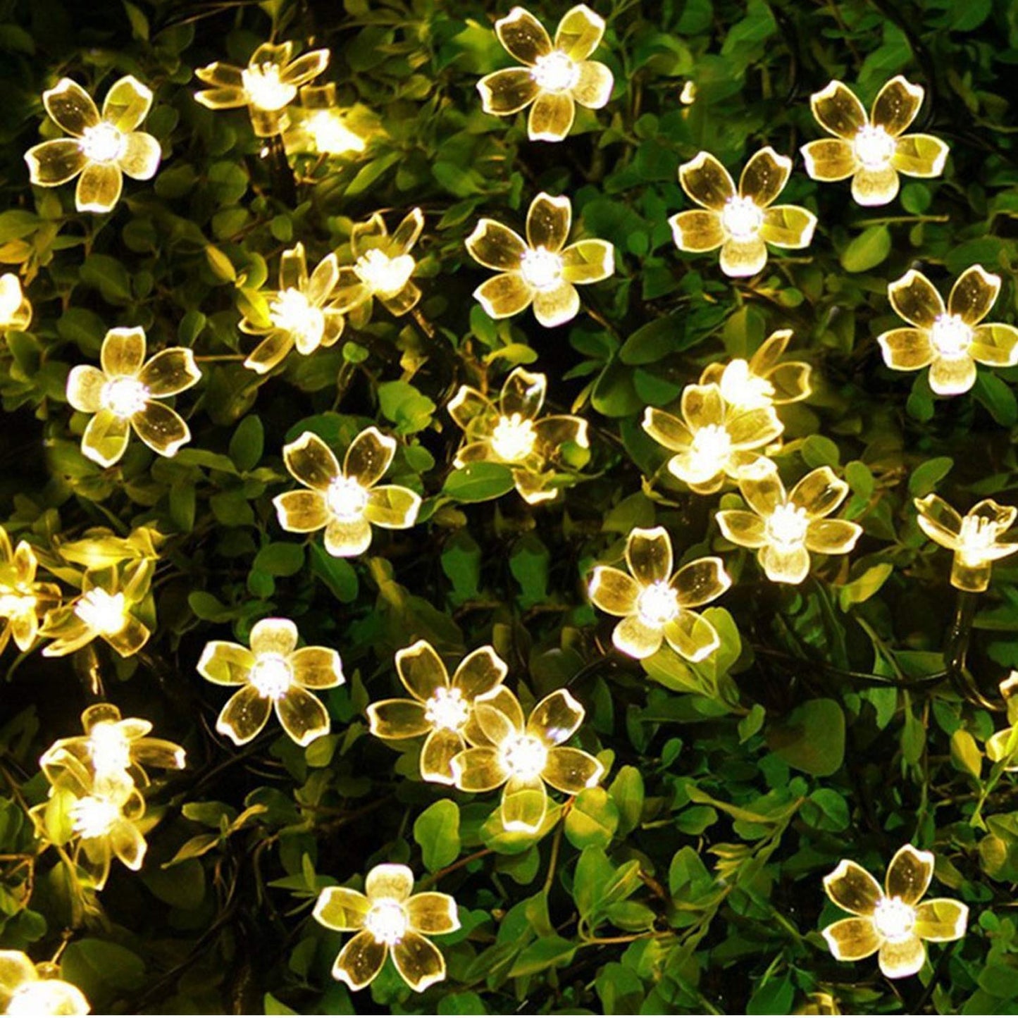 Flexible LED Flower Lights for Home Decoration Waterproof Flower Fairy Lights (16 LED, 14 Feet, Warm White)
