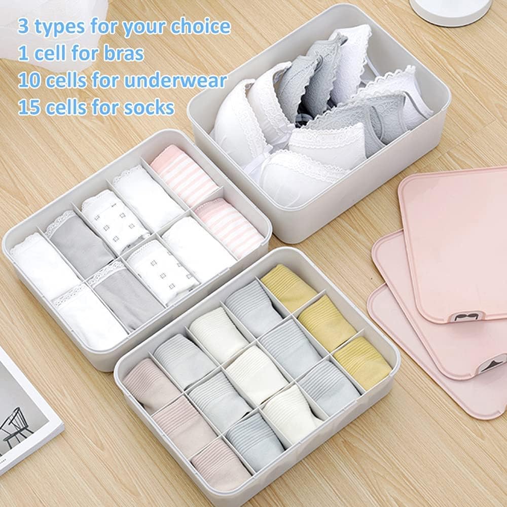 EYUVAA Undergarments Organizer 10 Cell Plastic Box Tie Panty Storage Organizer With Cover for Bra, Panty, Socks, Jewelry & Household Storage Box