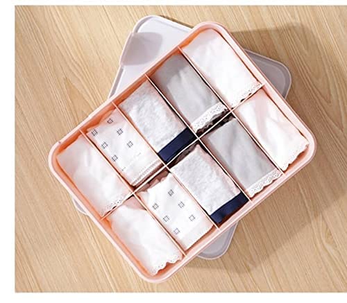 EYUVAA Undergarments Organizer 10 Cell Plastic Box Tie Panty Storage Organizer With Cover for Bra, Panty, Socks, Jewelry & Household Storage Box