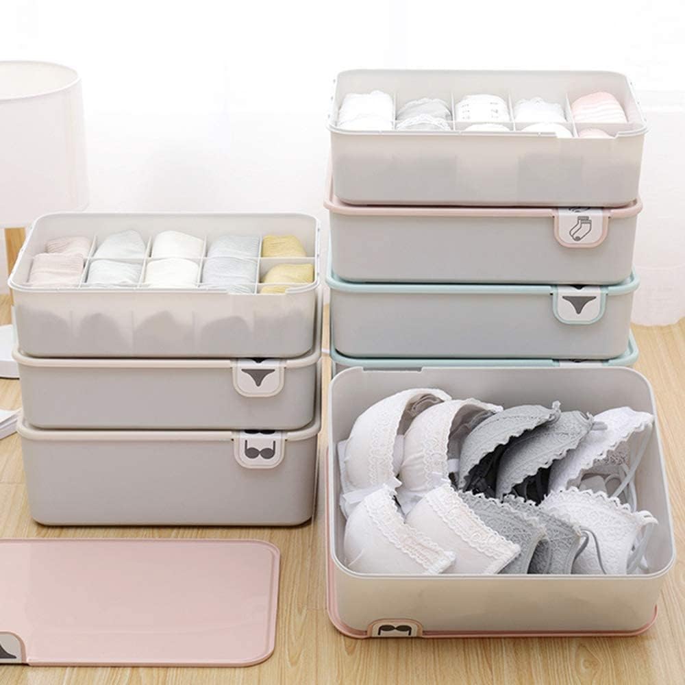 EYUVAA Undergarments Organizer 15 Cell Box With Cover Closet Storage for Panty, Socks, Tie, Scarfs Cosmetic & Jewelry Storage Box