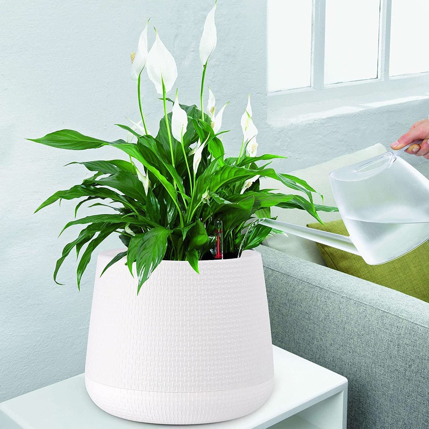 Plastic Planter with Bottom Tray Round Flower Pot for Indoor Plants Water Drainage Holes and Removable Base Plant Container with Matte Finish for Home & Office Decoration